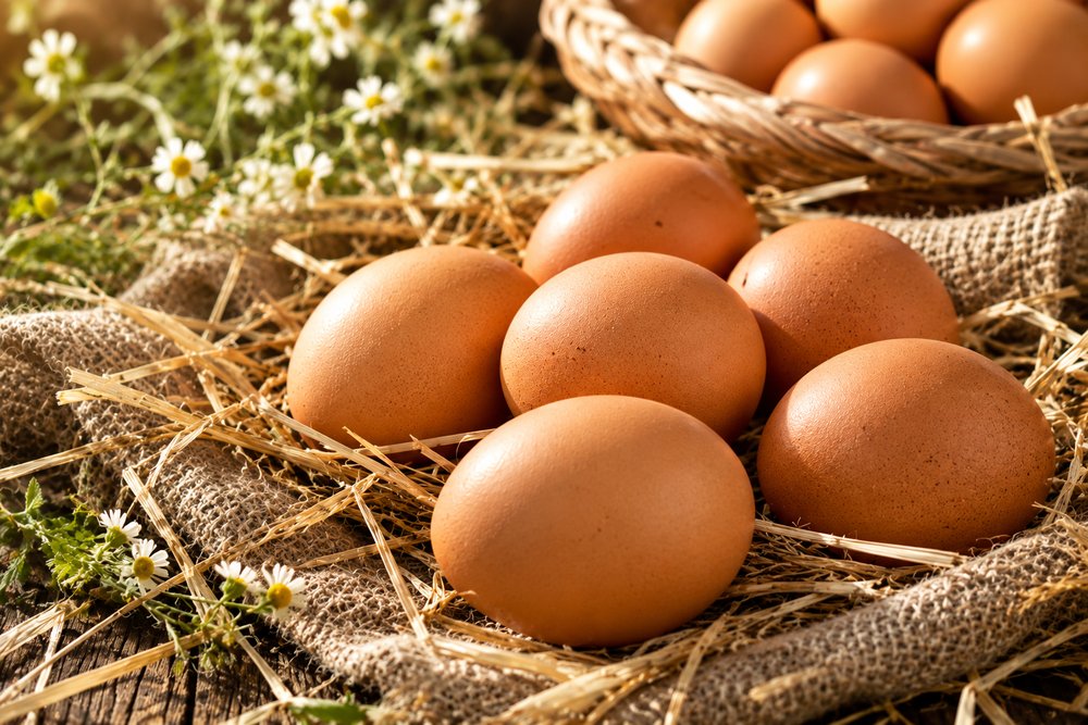 Куриное яйцо оптом: коричневые яйца на мешковине и соломе